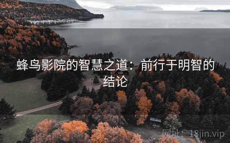 蜂鸟影院的智慧之道:前行于明智的结论 蜂鸟影院的智慧之道:前行于明智的结论